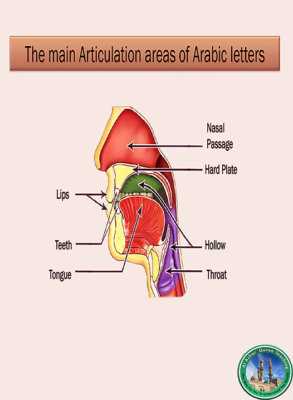 Al-Azhar Quran Teaching | How Sound is Produced and the Definition of Sound