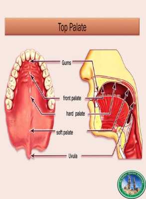 Al-Azhar Quran Teaching | How Sound is Produced and the Definition of Sound