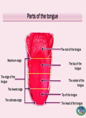 Al-Azhar Quran Teaching | How Sound is Produced and the Definition of Sound