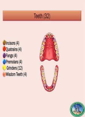Al-Azhar Quran Teaching | How Sound is Produced and the Definition of Sound
